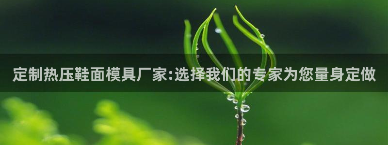 emc易倍老板：定制热压鞋面模具厂家:选择我们的专家为您