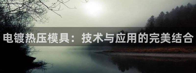 易倍网页版登录：电镀热压模具：技术与应用的完美结合