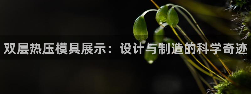 EMC倍频原理：双层热压模具展示：设计与制造的科学奇迹