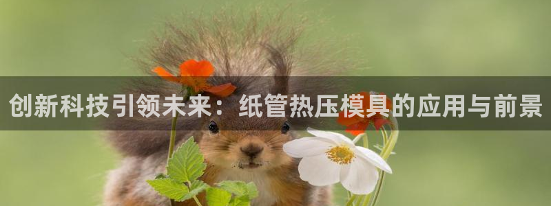 易倍单词软件：创新科技引领未来：纸管热压模具的应用与前景