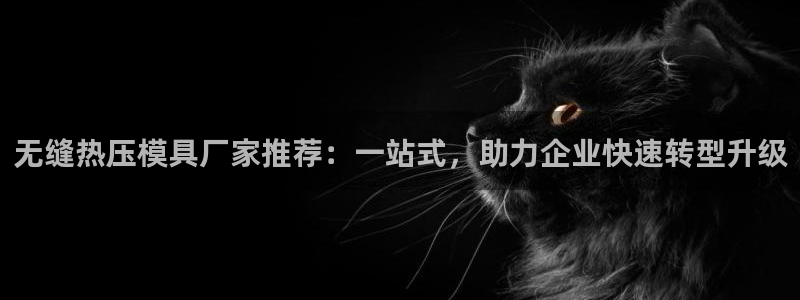 emc低频不过：无缝热压模具厂家推荐：一站式，助力企业快