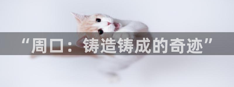 emc软件下载：“周口：铸造铸成的奇迹”