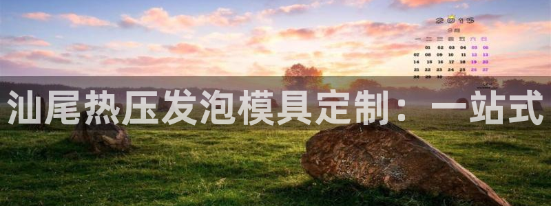 易倍网页版登录：汕尾热压发泡模具定制：一站式