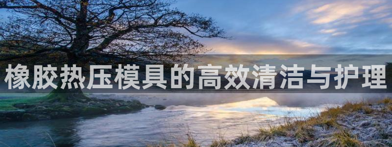 易倍app官网下载安装：橡胶热压模具的高效清洁与护理