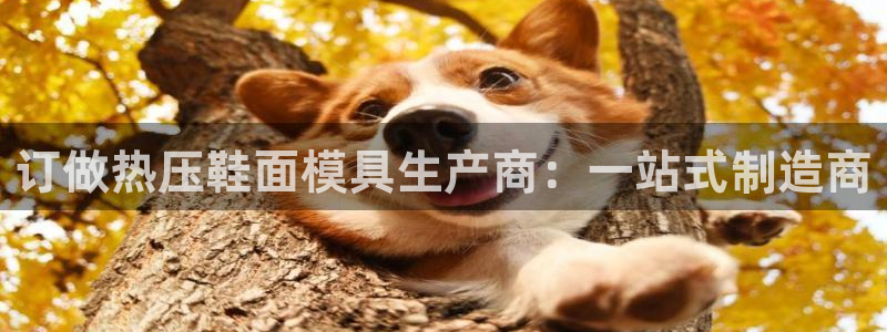 易倍单词登录网站：订做热压鞋面模具生产商：一站式制造商