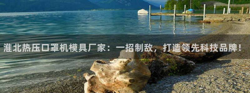 易倍单词登录平台：淮北热压口罩机模具厂家：一招制敌，打造