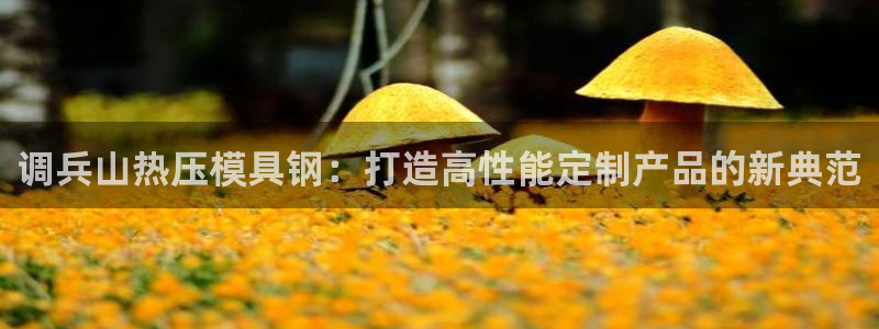 易倍申片说明书：调兵山热压模具钢：打造高性能定制产品的新