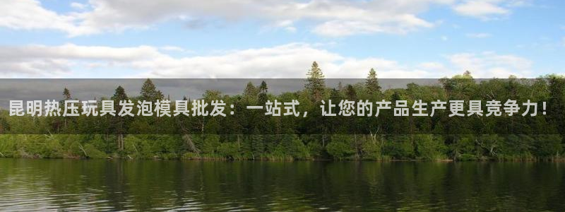 易倍纤减肥价格：昆明热压玩具发泡模具批发：一站式，让您的