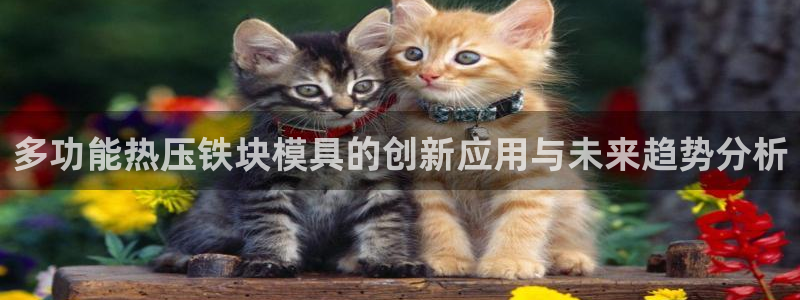 易倍申不良反应：多功能热压铁块模具的创新应用与未来趋势分