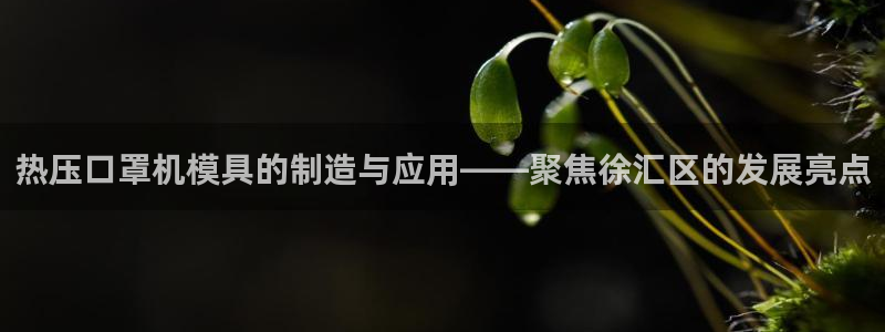 易倍app官网下载：热压口罩机模具的制造与应用——聚焦徐