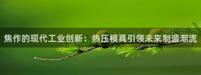 易倍英语官方网站登录：焦作的现代工业创新：热压模具引领未