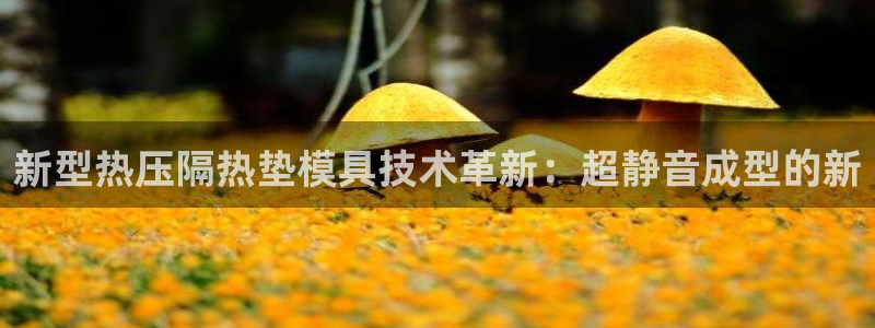 emc易倍官网app官网：新型热压隔热垫模具技术革新：超