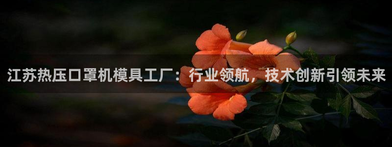 易倍申片的功效与作用：江苏热压口罩机模具工厂：行业领航，