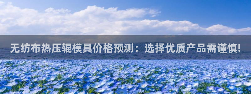 易倍申能长期吃吗：无纺布热压辊模具价格预测：选择优质产品