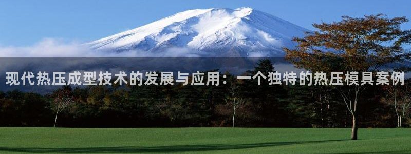 易倍全站下载：现代热压成型技术的发展与应用：一个独特的热