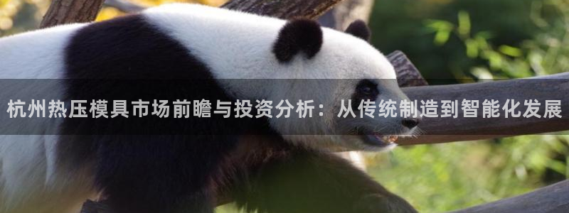 emc32软件:杭州热压模具市场前瞻与投资分析:从传统制