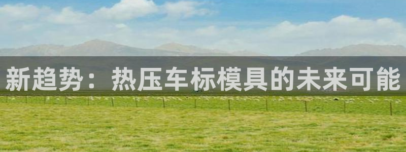 易倍申片能长期服用吗:新趋势:热压车标模具的未来可能