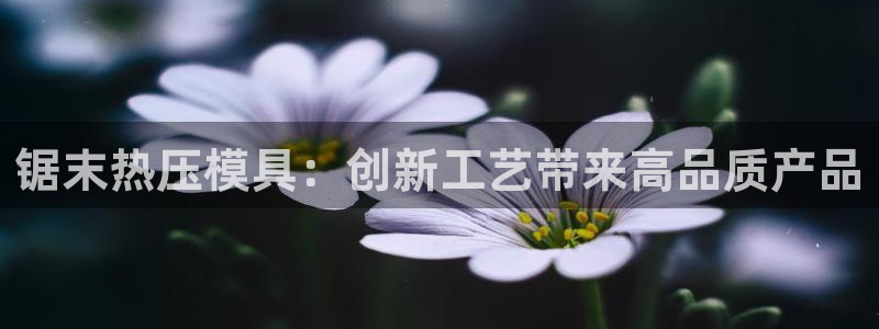 emc易倍首存500送球衣:锯末热压模具:创新工艺带来高