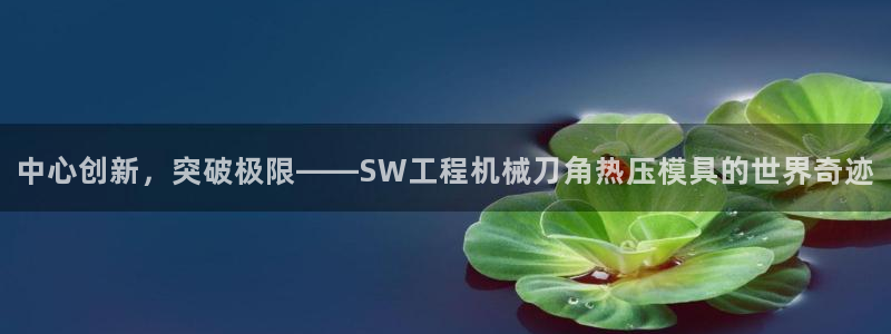 易倍申多少钱一盒：中心创新，突破极限——SW工程机械刀角