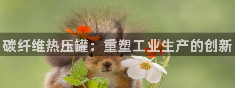 易倍达科技有限公司官网：碳纤维热压罐：重塑工业生产的创新