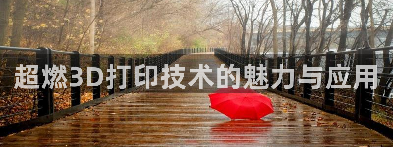 北京易倍思教育怎么样：超燃3D打印技术的魅力与应用