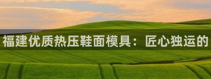 易倍易趣网：福建优质热压鞋面模具：匠心独运的
