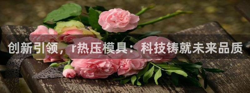 emc mcu：创新引领，r热压模具：科技铸就未来品质