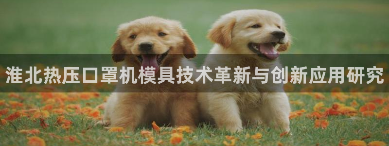 易倍app官网下载：淮北热压口罩机模具技术革新与创新应用