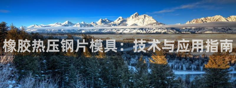 emc参数：橡胶热压钢片模具：技术与应用指南