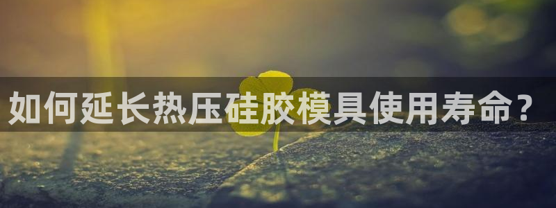 易倍申和易倍清的区别