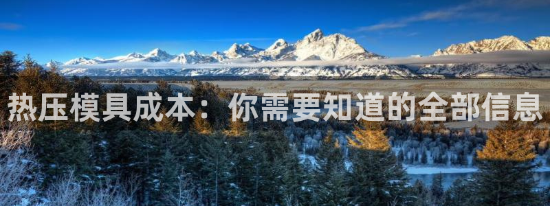 易倍申效果怎么样:热压模具成本:你需要知道的全部信息