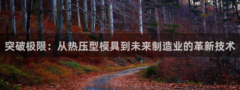 emc倍频干扰：突破极限：从热压型模具到未来制造业的革新