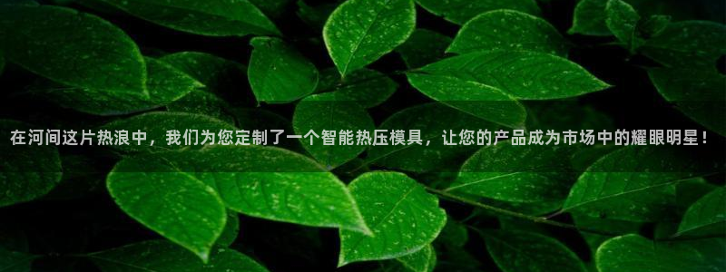 易倍单词如何下载：在河间这片热浪中，我们为您定制了一个智