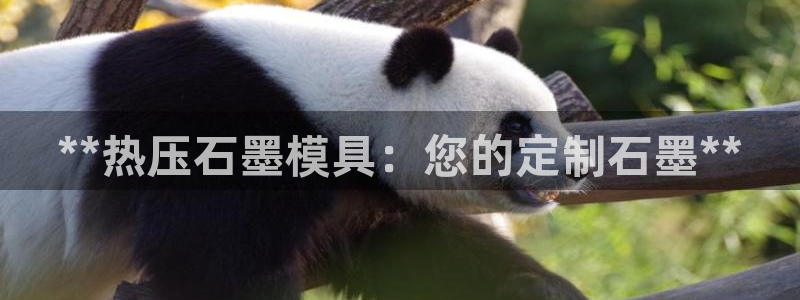 emc32软件使用说明：**热压石墨模具：您的定制石墨*