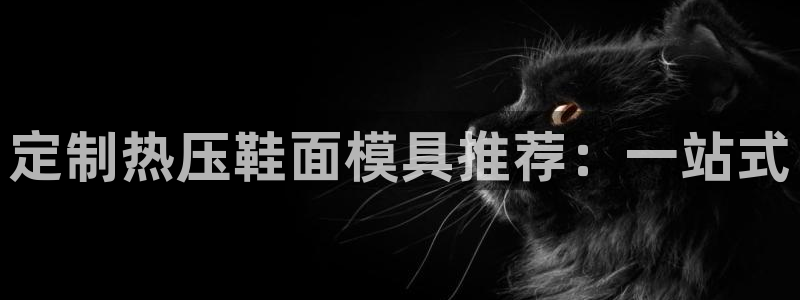 emc易倍首存500送球衣：定制热压鞋面模具推荐：一站式