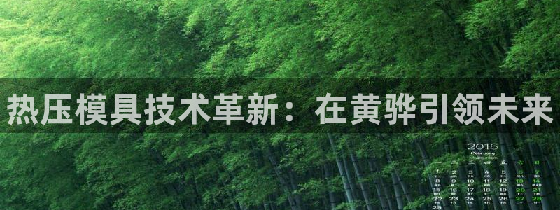 易倍单词登录平台:热压模具技术革新:在黄骅引领未来