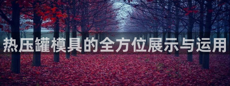 易倍申和易倍清的区别：热压罐模具的全方位展示与运用