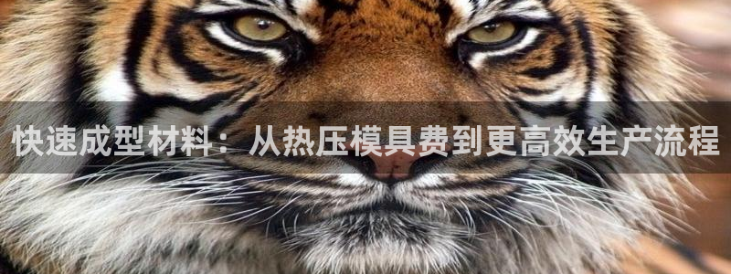 易倍纤奶昔减肥效果怎么样：快速成型材料：从热压模具费到更